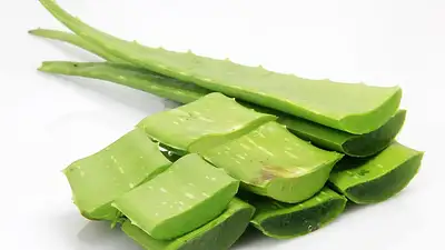 Jak pozbyć się łupieżu? Skuteczne domowe sposoby i naturalne